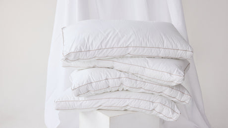 Customer loyalty through textiles: when fabric makes all the difference